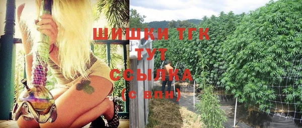 стафф Карпинск
