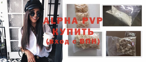 прущие грибы Касимов