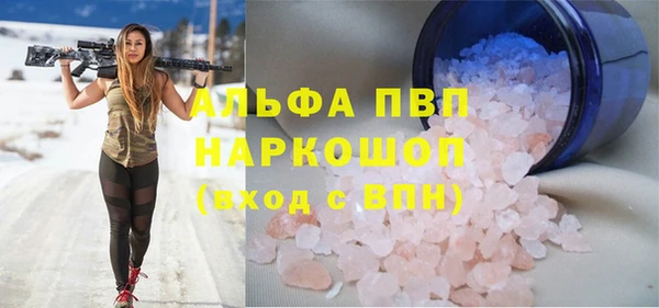 стафф Карпинск