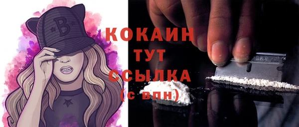 стафф Карпинск