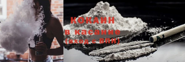 прущие грибы Касимов
