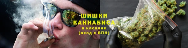 стафф Карпинск