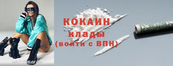 прущие грибы Касимов