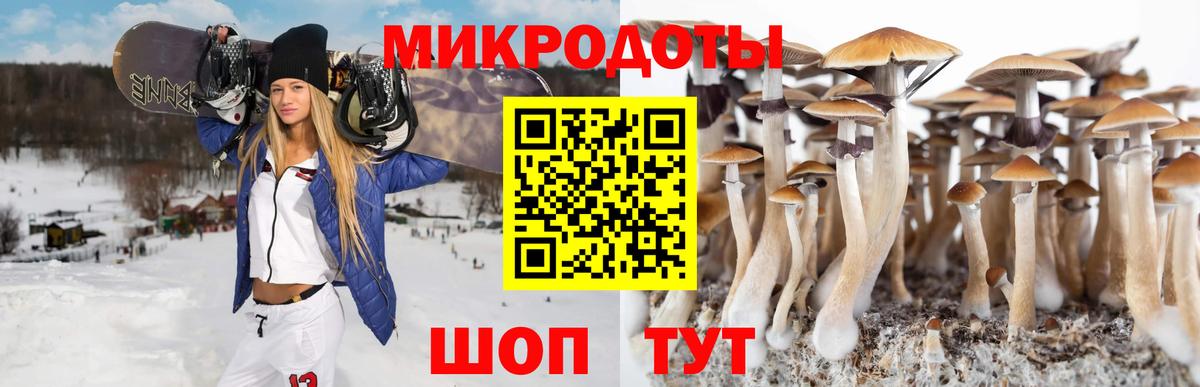 Псилоцибиновые грибы прущие грибы Кириши